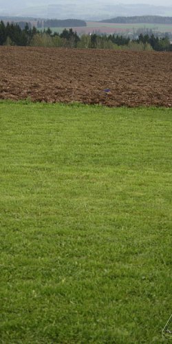 2013 Svojek Mirek Topinka